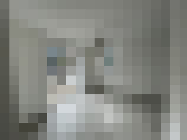  / #7