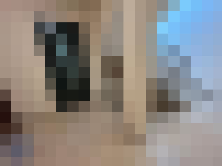  / #11
