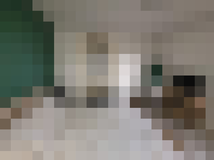  / #20