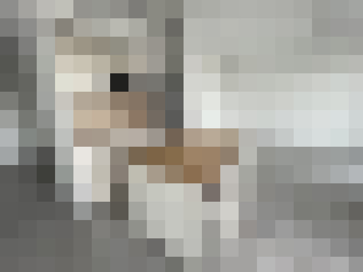  / #7