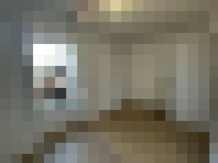  / #15