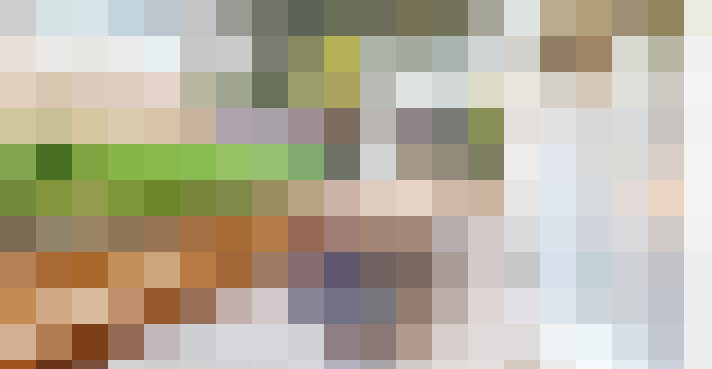  / #12