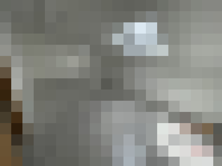  / #15