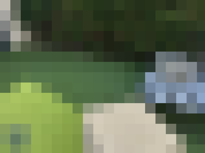  / #15