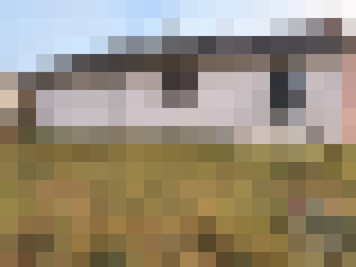  / #11