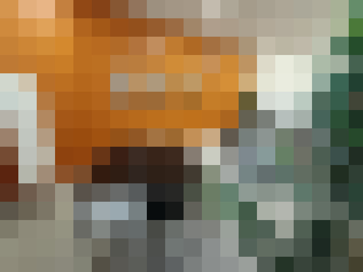  / #15