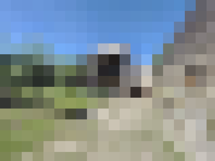  / #12
