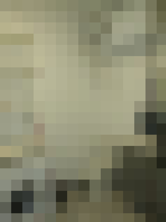  / #11