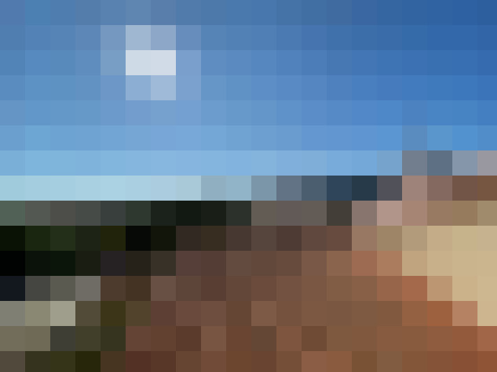  / #8