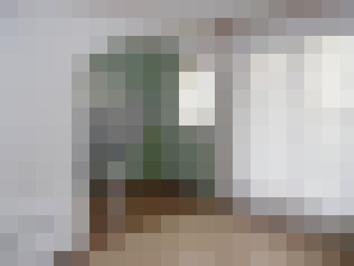  / #6