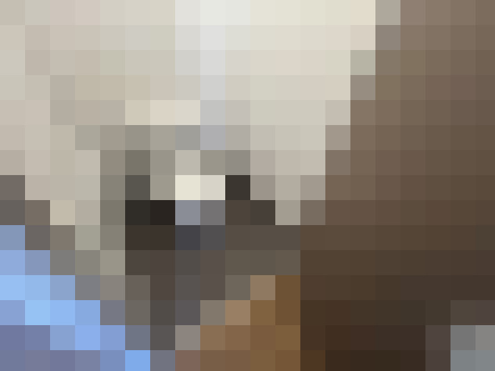  / #18