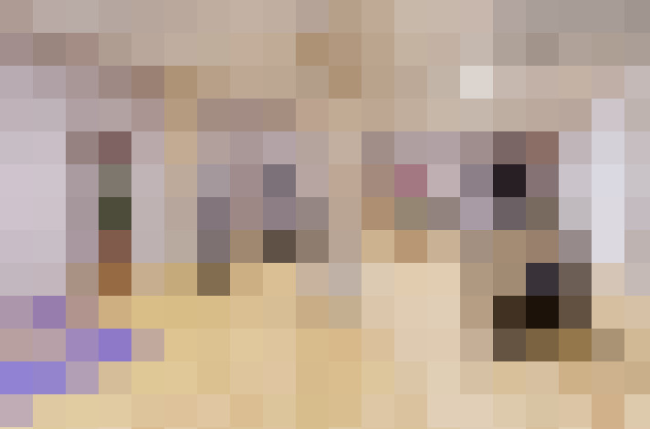  / #12