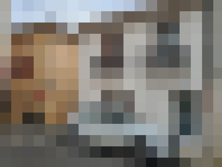  / #19