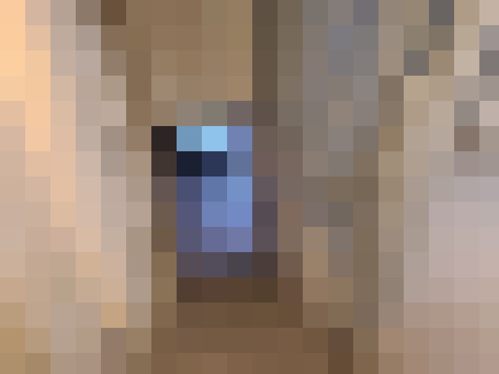  / #11