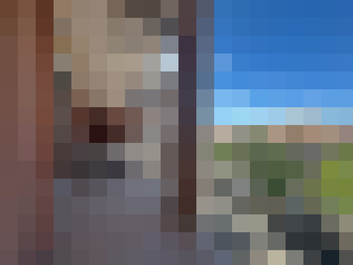  / #7