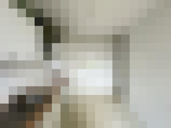  / #14