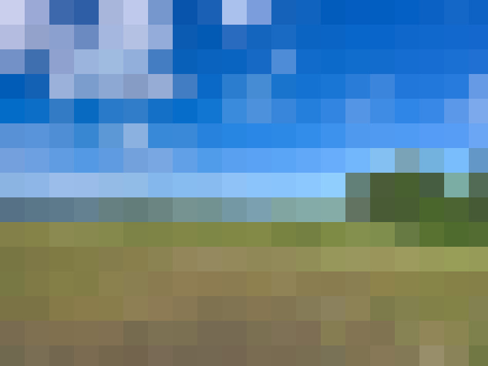  / #8