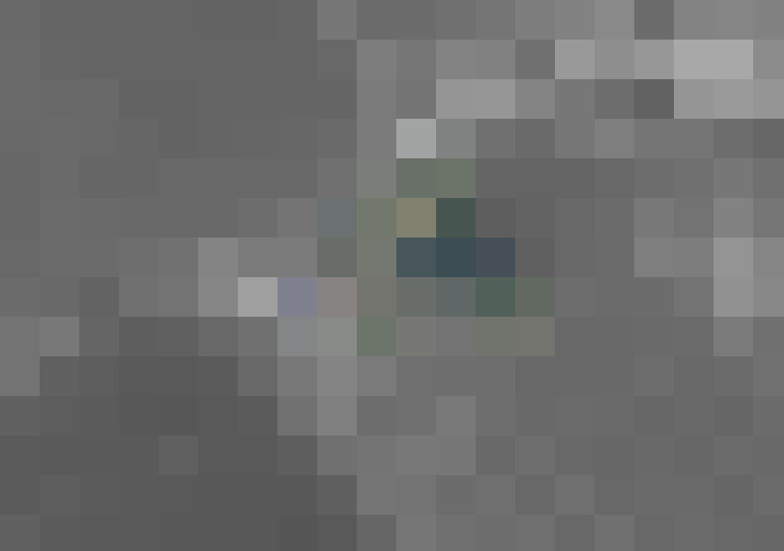  / #17