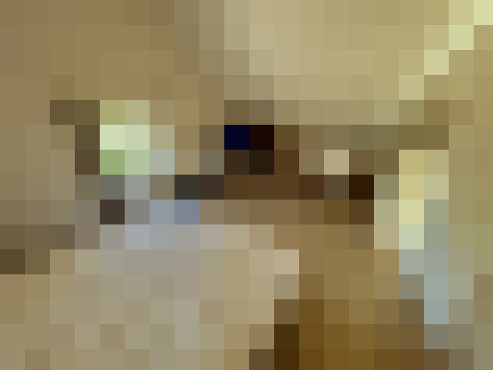 / #11