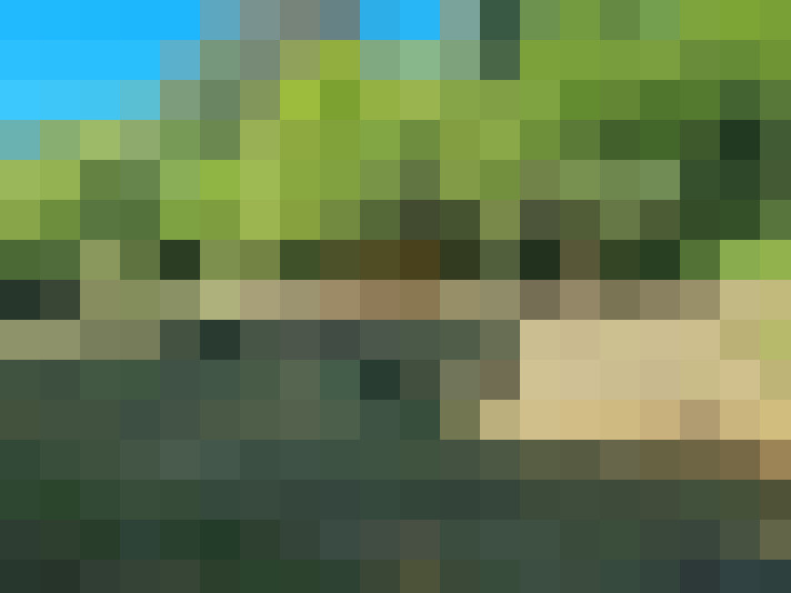  / #9