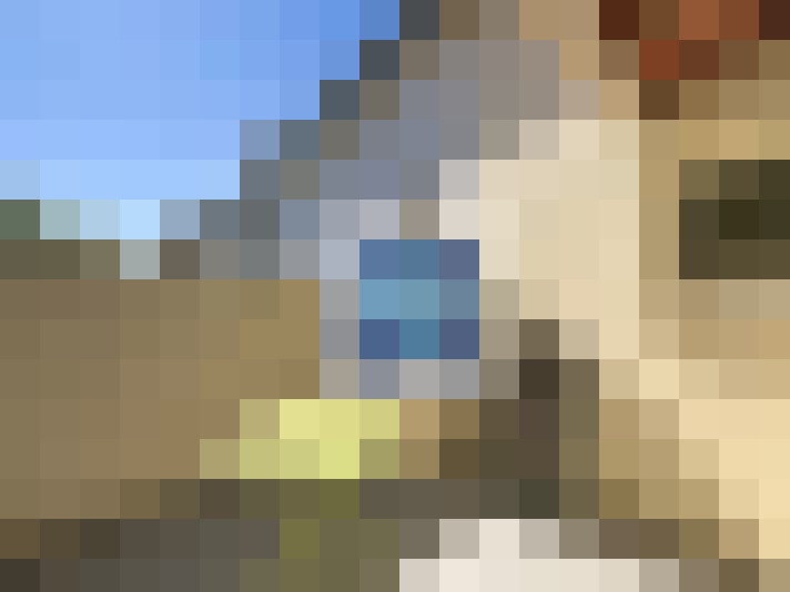  / #6