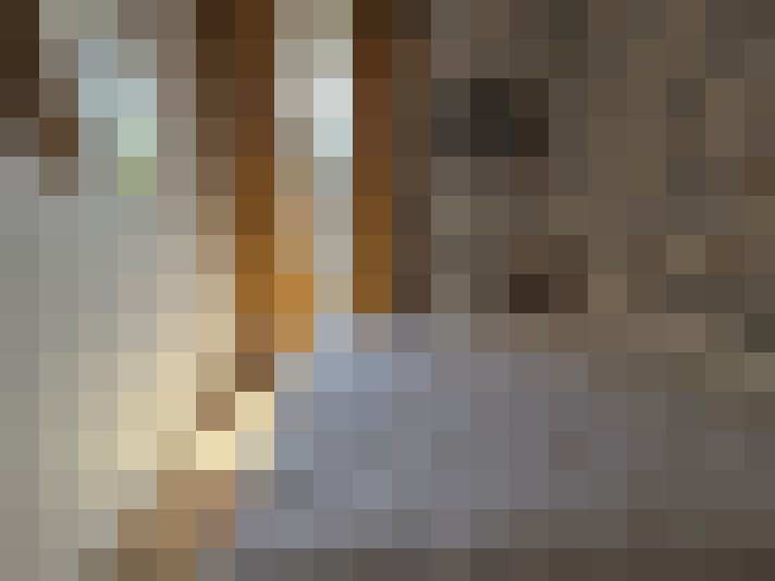  / #18