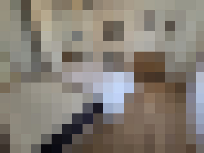 / #13