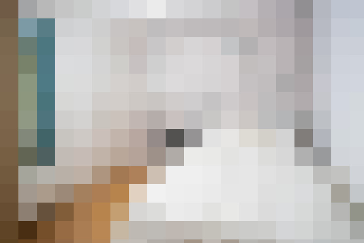  / #14
