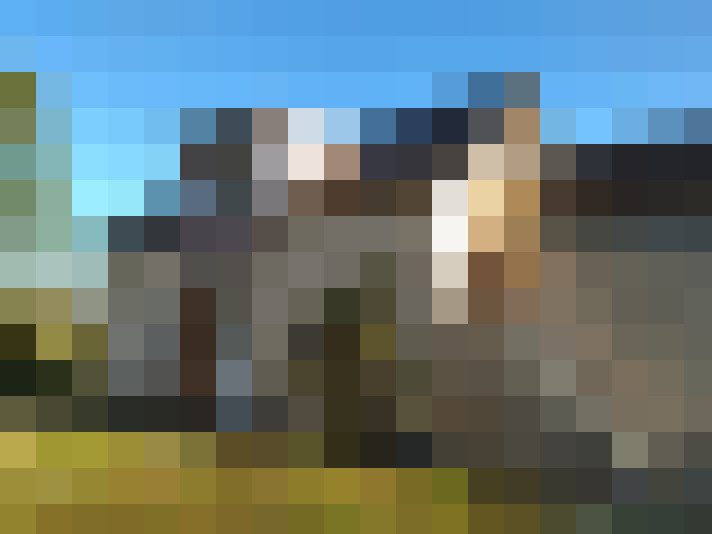  / #6