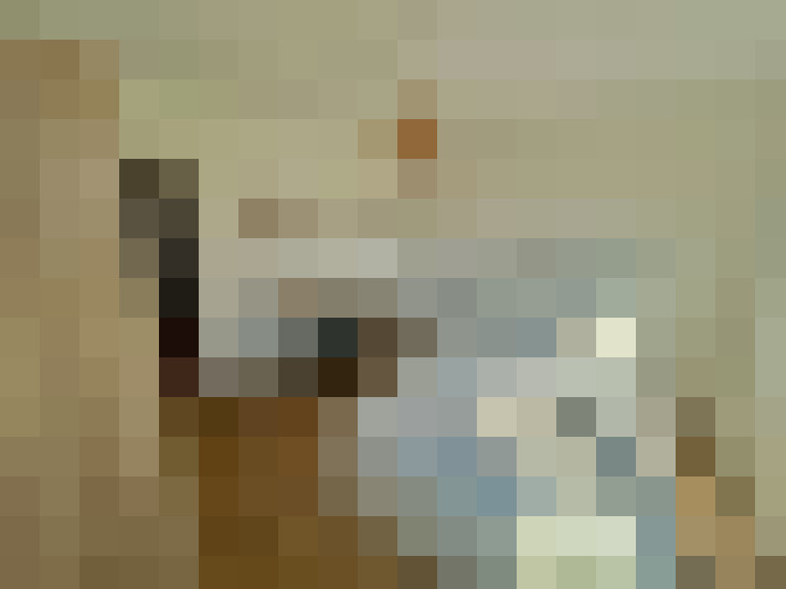 / #12