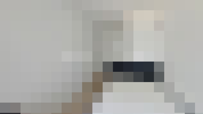  / #17