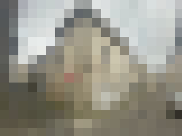  / #20