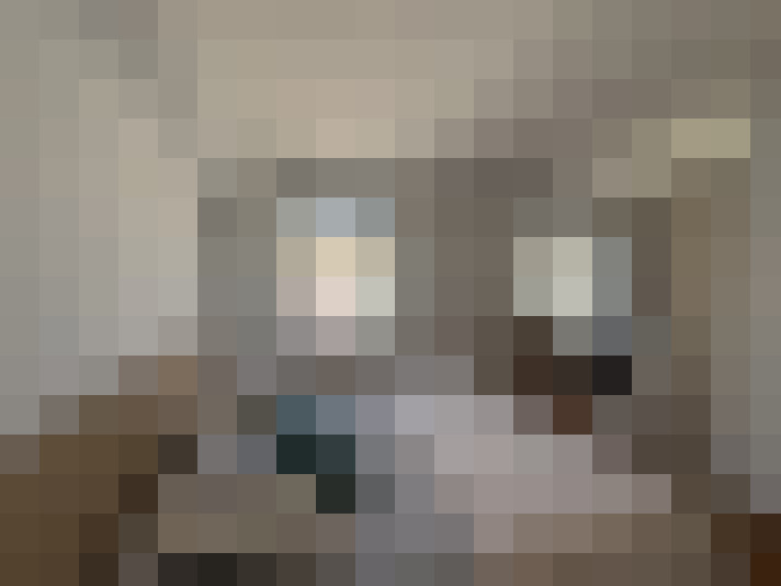  / #7