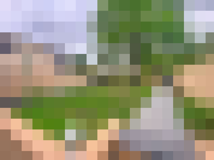  / #15