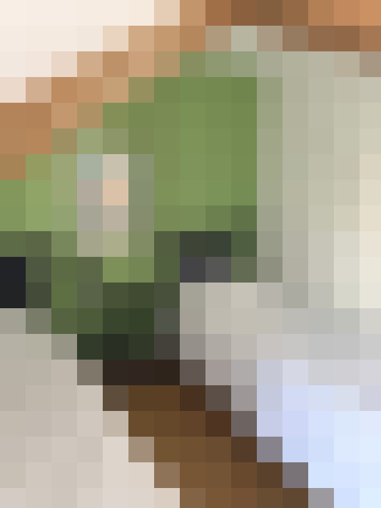  / #6