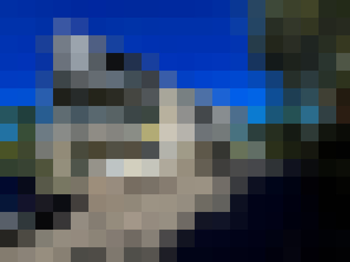  / #15