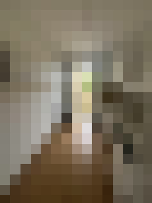  / #15