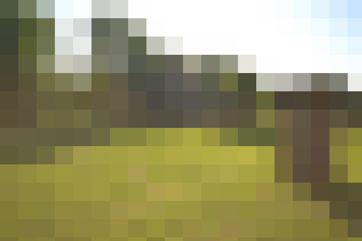  / #17
