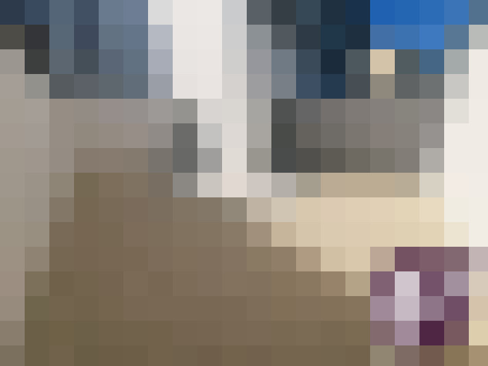  / #7