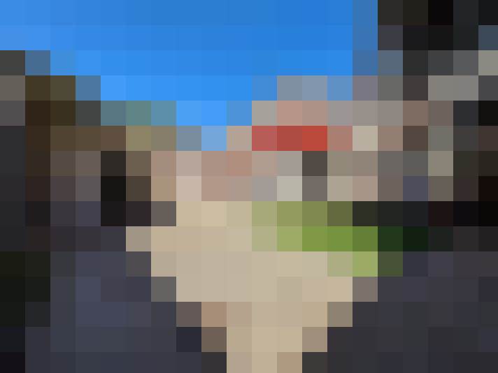  / #11