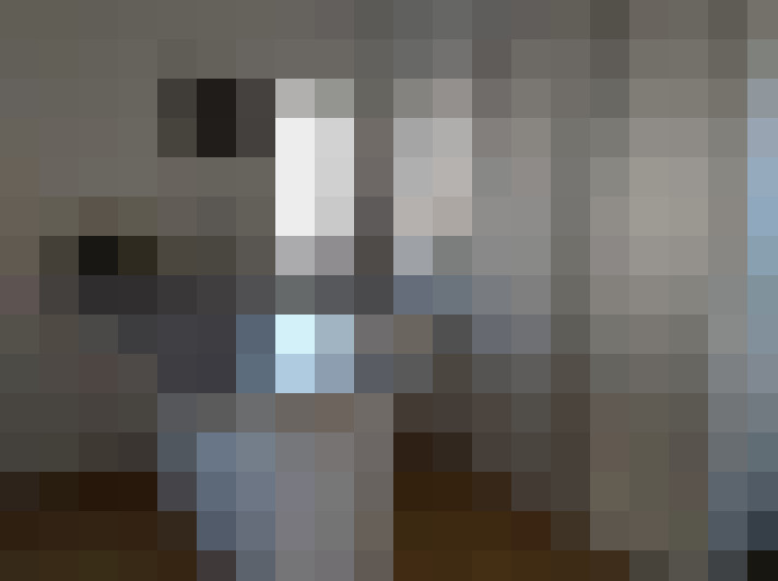  / #6
