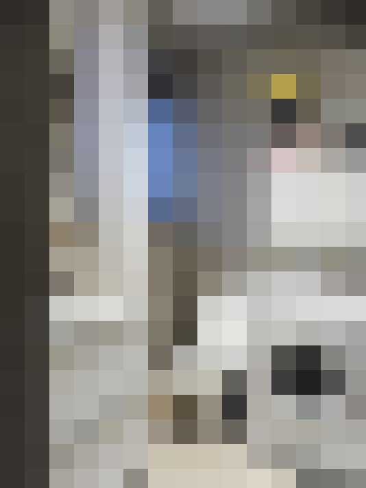  / #11