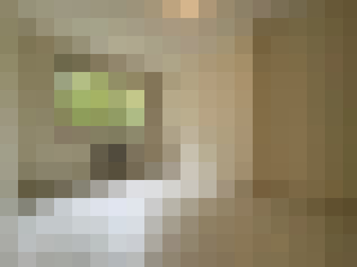  / #4