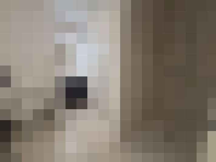  / #8