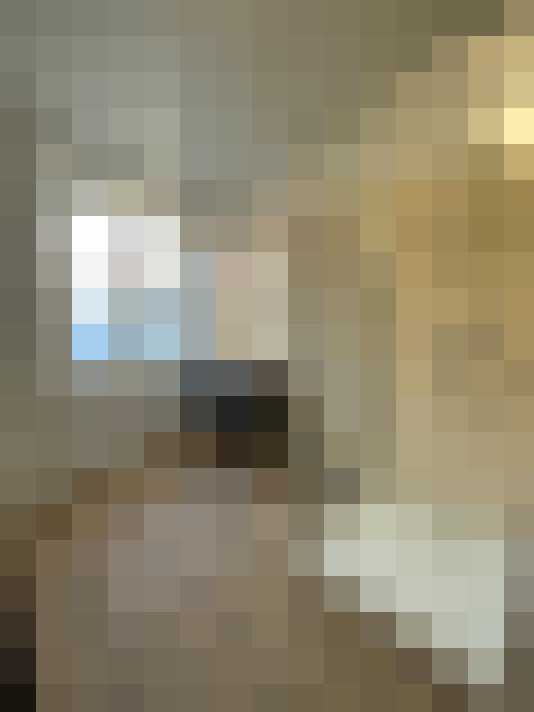  / #9