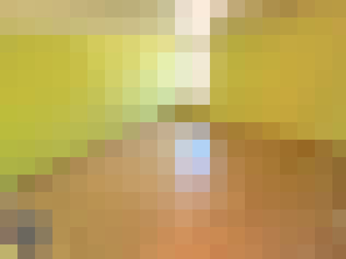  / #16
