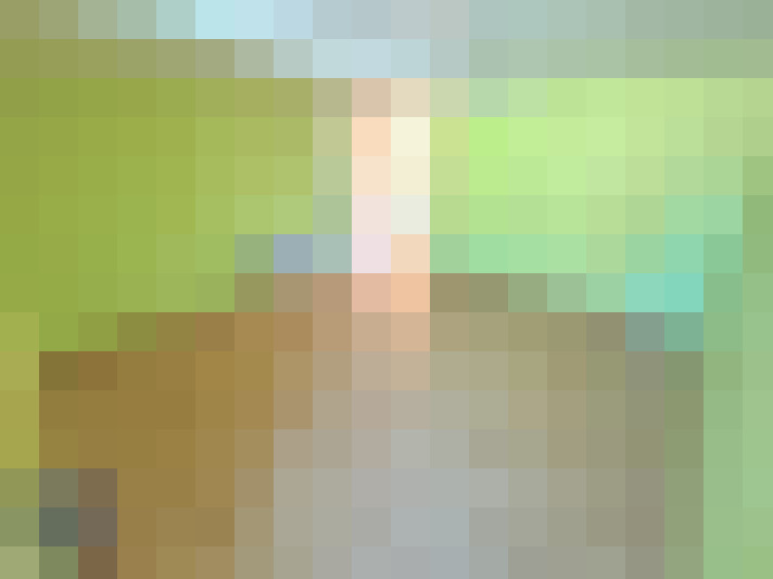  / #17