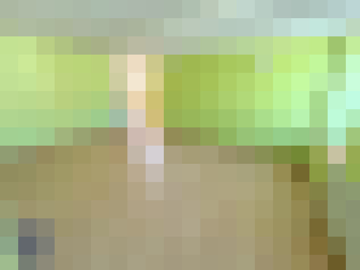  / #15