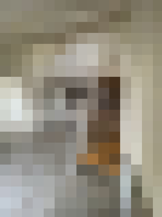  / #11