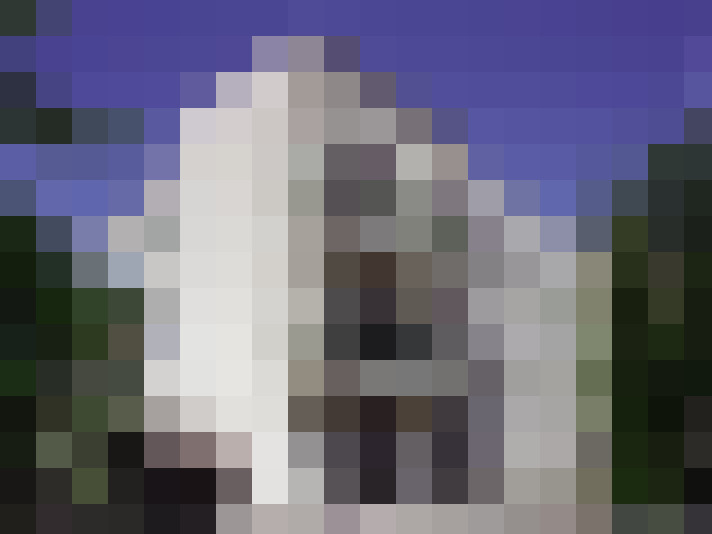 / #15